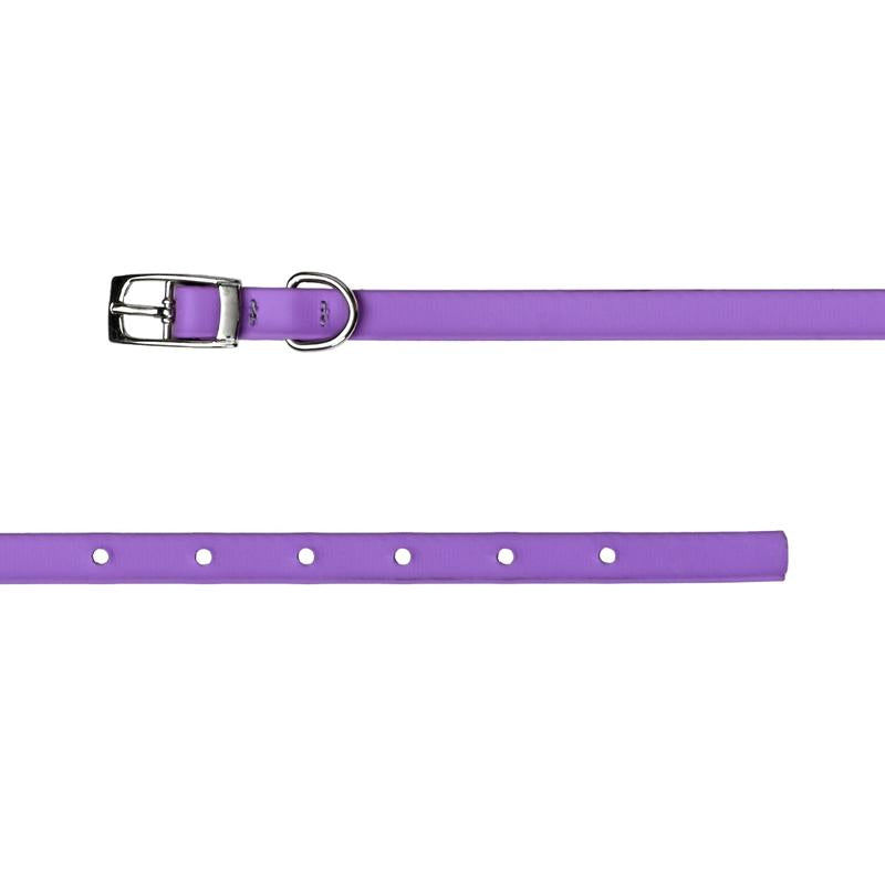 Tailr Premium Biothane Pet Collar