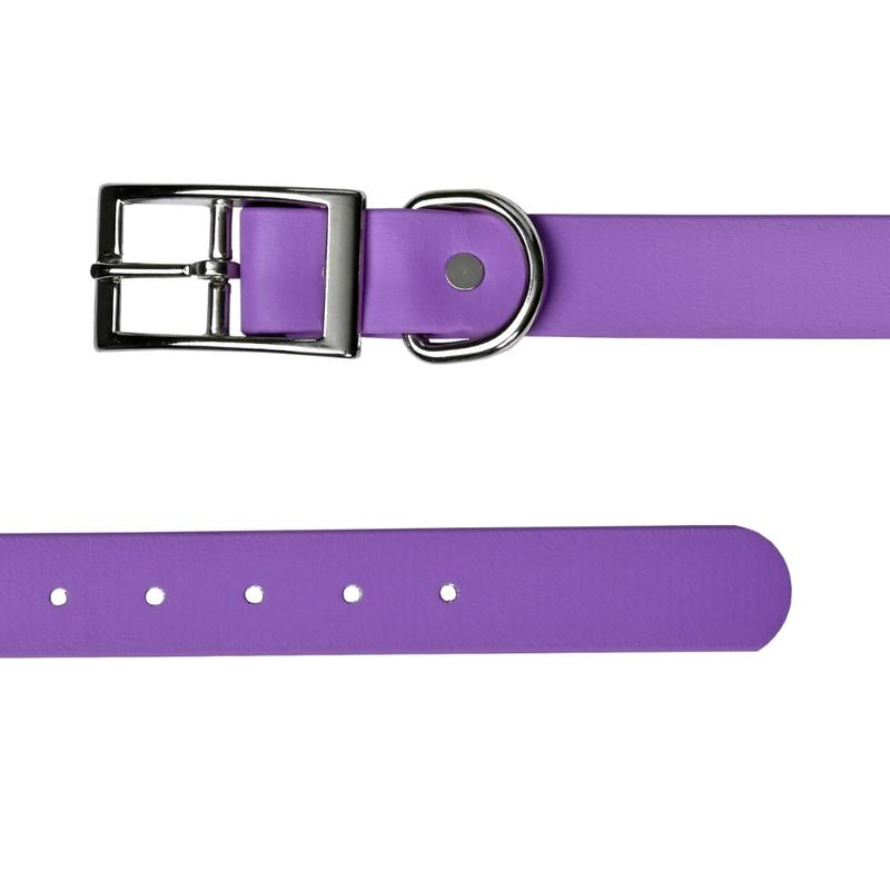 Tailr Premium Biothane Pet Collar